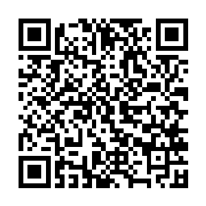我答应过你这片丛林和库拉斯特海港会归你们所统治二维码生成
