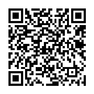 我精神力联系阴珠里的咕仔问询他什么时候回返的阴珠二维码生成