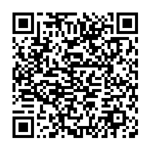 我终于知道你为什么说这一次闯绝域是九死一生了……这才刚刚开始啊二维码生成