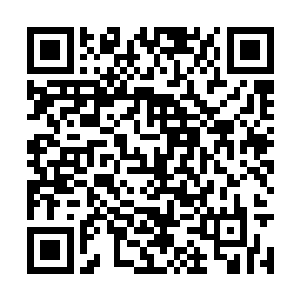 我给他们报出的价格几乎是一个成年佣兵的价格了二维码生成