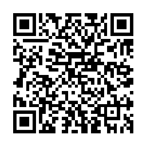 我给你们提供的力量会随着你们的身体适应度上升而逐渐减少二维码生成