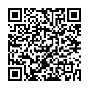 我绝对知无不言言无不尽……就算兄弟你想去乐呵乐呵二维码生成