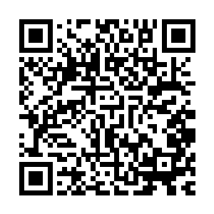 我肖克明派我来的……这个计划是他和他的父亲严加林制定的二维码生成