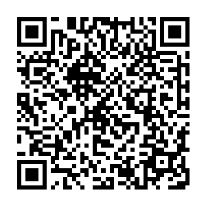 我背得出这个传家宝的配方……我的意思是是我们为什么不用小白菊入药二维码生成