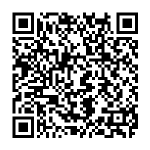 我能感觉到你对它们并不是非常热衷――感觉上你之所以会参加这样的游览活动二维码生成