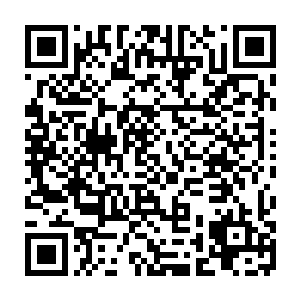 我自己就做那第一条冲上去撕咬他们一口的鲨鱼――我希望今天的事情传出去后二维码生成
