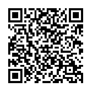 我要去看一看你修的路对上青林的经济有什么影响二维码生成