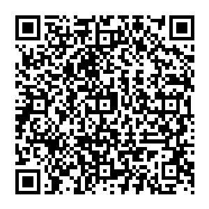 我要的结果 不是你设定的结果 若灵界只是一场游戏 那么 我要亲自改写这个游戏的结局 二维码生成
