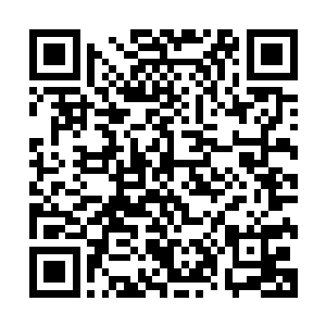 我觉得一旦开战他不会把所有力量全部集中在本土和我们对抗二维码生成