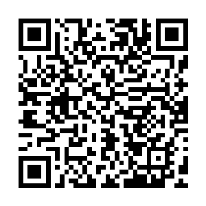 我觉得上一次采访的公开招投标制度还有不少值得深挖的地方二维码生成