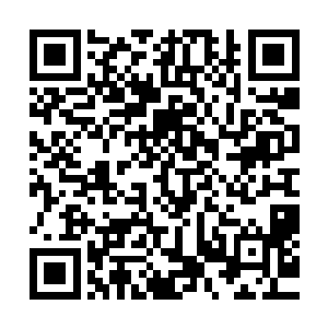 我觉得他再次派人去攻击曹荣是个好办法……段思廉惹不起我二维码生成