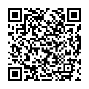 我觉得你再签个英国本土的大牌足球经纪人比较好二维码生成