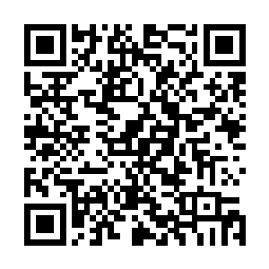 我觉得国内栽培稻种系统发育过程应该为基础的五级分类法二维码生成