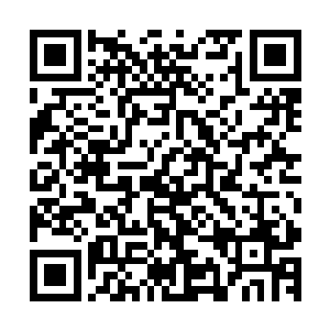 我觉得我们就这样被一条尚未证实的模糊消息给吓得封闭山门二维码生成