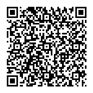 我觉得我们有些工作不妨可以从一些相对简便易行且又对我们国家有现实利益和意义的方面做起走二维码生成