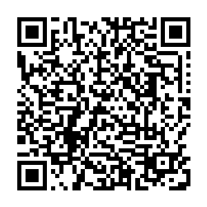 我觉得现在很多领导的认识和当初以钢铁产量决定发展水平没有质的区别二维码生成