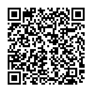 我觉得这是我们给董事会更多的他们想要的东西的时候了――如果你取得了成功二维码生成