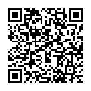 我觉的我们的工作重点应该放在继续寻找罗伊国王和抗震救灾上二维码生成