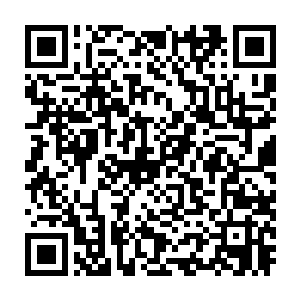 我计划在瑞典每一座城市开设一家至三家中医学院――如果可能的话二维码生成