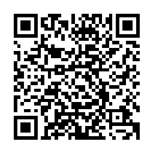 我认得的……上面有一颗痣……还有一个小小的伤疤……他们二维码生成