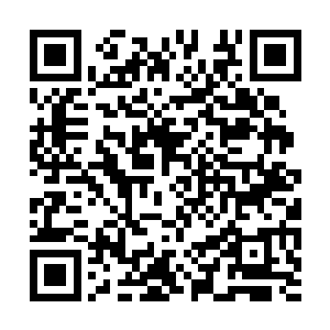 我认识你的声音……救救我……我在这里害怕……二维码生成