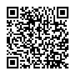 我认识的冷小野是绝对不会被这种事情击倒的……我看错你了二维码生成