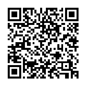 我让人把她从出生到现在的生活经历和工作经历全都审查了一遍二维码生成