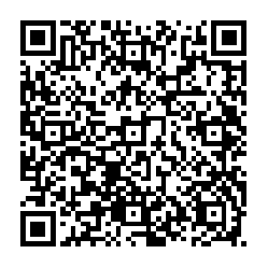 我让那人去查咱们的孩儿……其实不指望他去找……只希望看出他是否有什么异动二维码生成