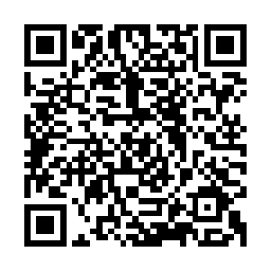 我记得之前澹台璃讲过他的伤势只要再一个晚上就可以完全痊愈二维码生成