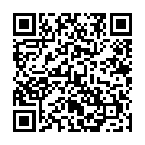 我记得云仙宗之前那个调查我的队伍似乎是去天灵墓地二维码生成