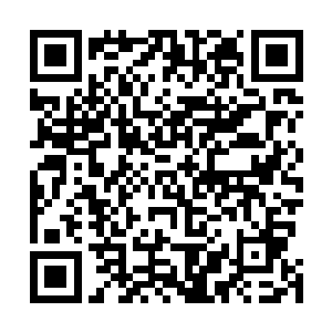 我记得咱们宗门内在这几百年里都没有出过这样的天才了二维码生成