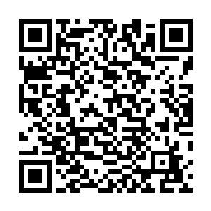 我记得好像上次他们就在酒吧门口和黑狼帮的小马打架了二维码生成