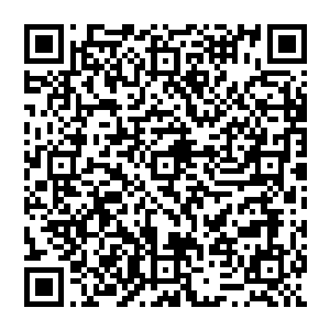 我说你们几个 既然与我等联手 那肯定就要献出自己的力量 难道你们不想走出这牢笼吗 二维码生成