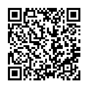 我说我其实不喜欢功夫我更喜欢和我爸一样写字读书――二维码生成