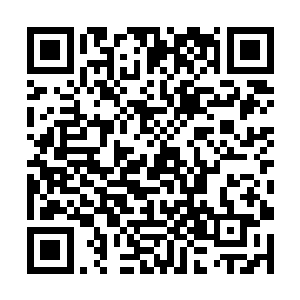 我说我外边的世界就是一片荒漠你看这就是一片荒漠二维码生成