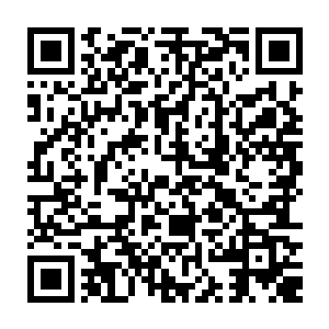 我败家不是很正常的事吗――不败家不浪费了您和妈赚钱的才华了吗……二维码生成