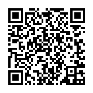 我跟别人说青楼没意思他们还不信……不行了不行了二维码生成