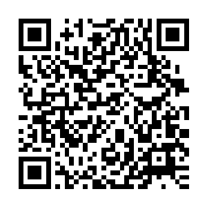 我跟孟猊没什么呀……他只是救了我而已……为什么要杀他……二维码生成