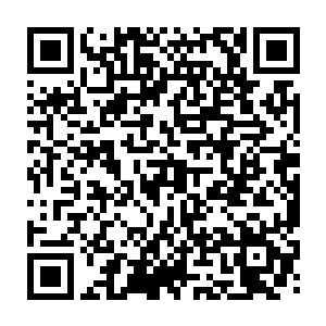 我身子飞出这巨人手掌的瞬间便已经看到这个巨人缓缓的被剧毒完全的包裹二维码生成