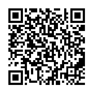 我还以为我们等在这里就是要打李乾顺的……怎么还用讨论吗二维码生成