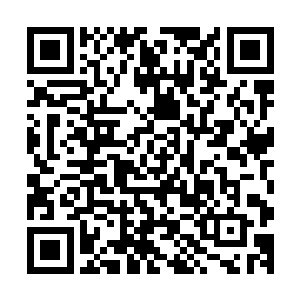 我还以为林大圣刚刚离开寻欢居就会被威海帮的人找到分尸呢二维码生成