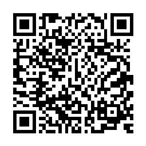 我还可以可以在淘宝上买各种形式各种尺寸的假的小弟弟……二维码生成
