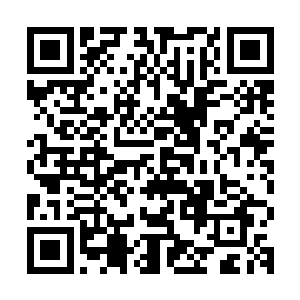 我还打算我拍不动电影的时候去华夏的一个大学担任荣誉教授呢二维码生成