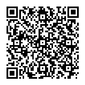 我还煞费苦心准备了一大篇华丽回归的演讲稿呢……我才是这次行动的主角好不好二维码生成