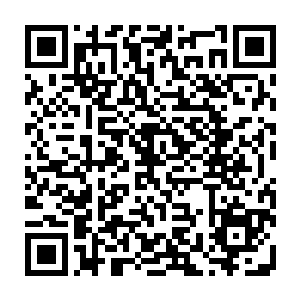 我还记得五年前被拉进黑名单的家伙可是硬生生的吵闹了几个月都没有结果二维码生成