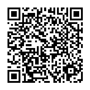 我还记得当时母圣牺牲自己而……总之唯独这次我不能再听母圣的安排保护了二维码生成