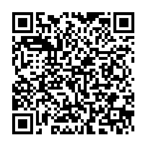 我这才看到了赵半仙之前将浑身的鳞甲完全的转移到王乾身上的作用二维码生成