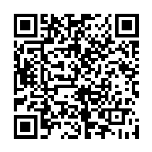 我这时总算明白长生刚才为什么不让这死亡之虫伸头下去了二维码生成