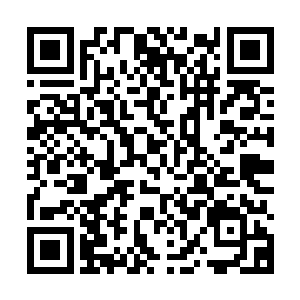 我这次来的目标可是最起码也要攒够我升到E级佣兵或者D佣兵的二维码生成