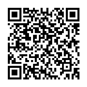 我这次跑来和蔡朝谈判也是迫不得已……无论对面开出什么条件二维码生成